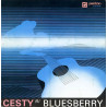 Bluesberry ‎– Cesty /6/