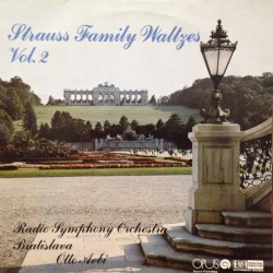 Strauss Family Waltzes Vol. 2